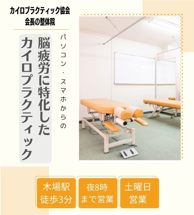 臨床実績20年以上　カイロプラクティク協会会長の整体院